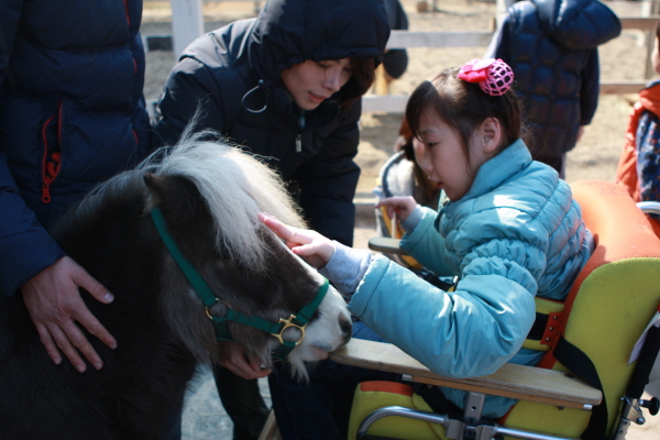 말과