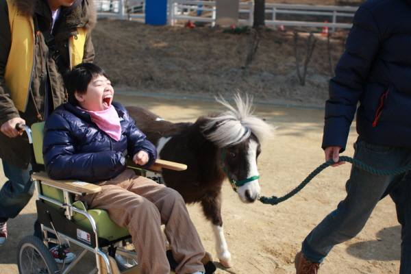 말과