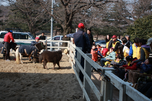 말과